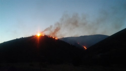 İlçemiz baglar koyunde yangın